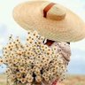 Profilbild von Maricota 7820