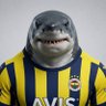 Fenerbahçeli köpekbalığı 🦈 的头像