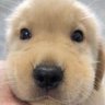 Profilbild von 蜂牛