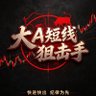 大A股——短线狙击手 profil fotoğrafı