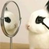 NONBINARYFAN's profile picture