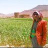 Profilbild von النقيب شايف ابوحاتم. نهم