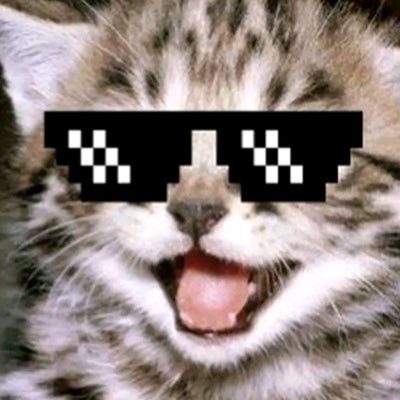 Pievy's profile picture