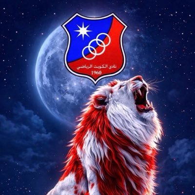 n9597's profile picture