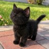 Фото профиля kid