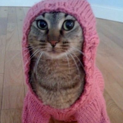 woobie's profile picture