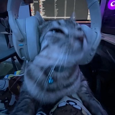 B__x5's profile picture