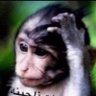 Profilbild von تاكس