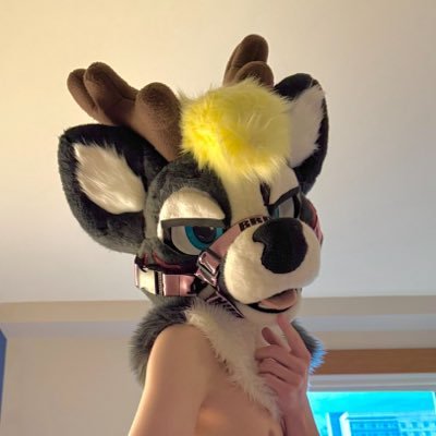 slicky_chicky's profile picture