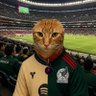 meowxicule2 的头像