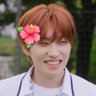 noto || BLOOM 🌺's profile picture