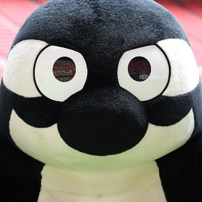 グランパスくん's profile picture