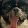xD's profile picture