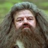 Profilbild von Yusuf Bel