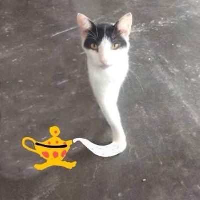 WaveAndWisteria's profile picture