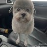 boob7 profil fotoğrafı