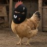 おやかた's profile picture