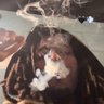 Marley 💀 profil fotoğrafı