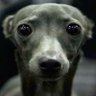parttaken's profile picture