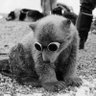 Prebisch Picho profil fotoğrafı