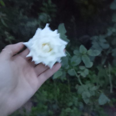 PHYU5555's profile picture