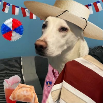Nachoneta___'s profile picture