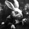Douglas MacKinnon's profile picture