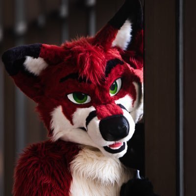 Forest's profile picture