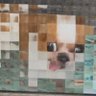 HumanIntellig's profile picture