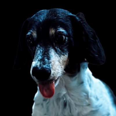 StevenJLatham1's profile picture