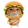 Profilbild von 傻钱