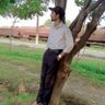 Muhammad Saad 的头像