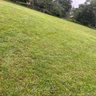 Nordin 🇳🇬 🇳🇬 profil fotoğrafı