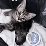 G profil fotoğrafı