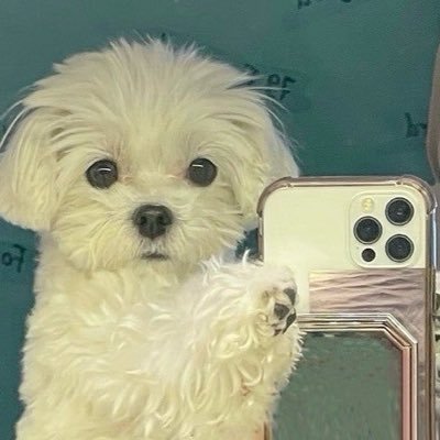 수철이's profile picture