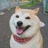 もっち profil fotoğrafı