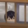 Rin 的头像