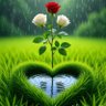 Profilbild von M.....R...Rahman