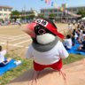 でるる's profile picture