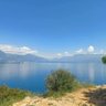 MarioM profil fotoğrafı