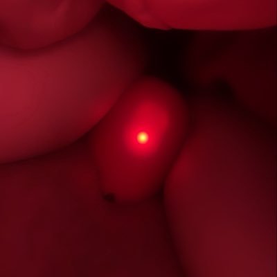 RuizPerla73431_'s profile picture