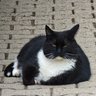 Piotr Beyer's profile picture
