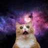 Patife - thisisfine.wallet's profile picture