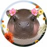 GALL profil fotoğrafı