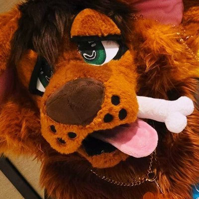 puppiibf's profile picture