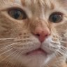 Profilbild von DONT WORRY