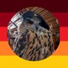 Profilbild von Dem HobbyBautze 🇩🇪