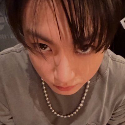 dollicitos's profile picture