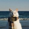 Profilbild von savana