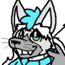 Elias Lorenz's profile picture
